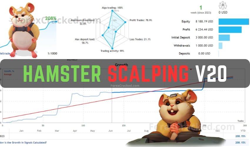 Hamster Scalping EA V20 For FREE Download [Update] ForexCracked.com