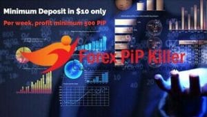 Forexpipkiller review