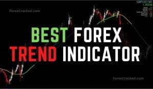 Forex Trend Indicator