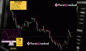 Master Entry Indicator