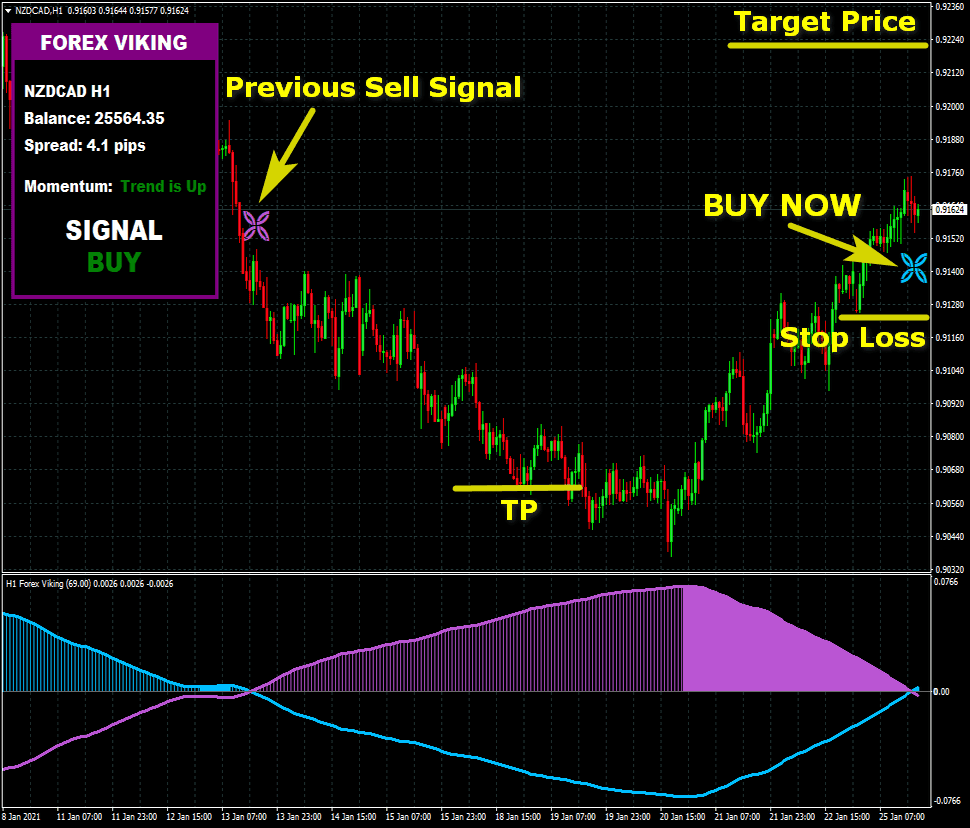 FOREX VIKING PRO Indicator BUY for free download forexcracked.com