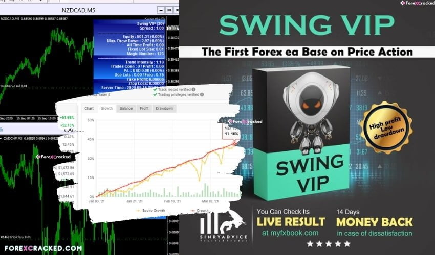 SWING VIP Robot for free download forexcracked.com
