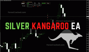 Silver Kangaroo EA