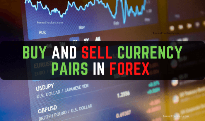 Buy and Sell Currency Pairs in Forex - ForexCracked