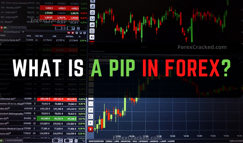 forexcracked.com What is a Pip in Forex