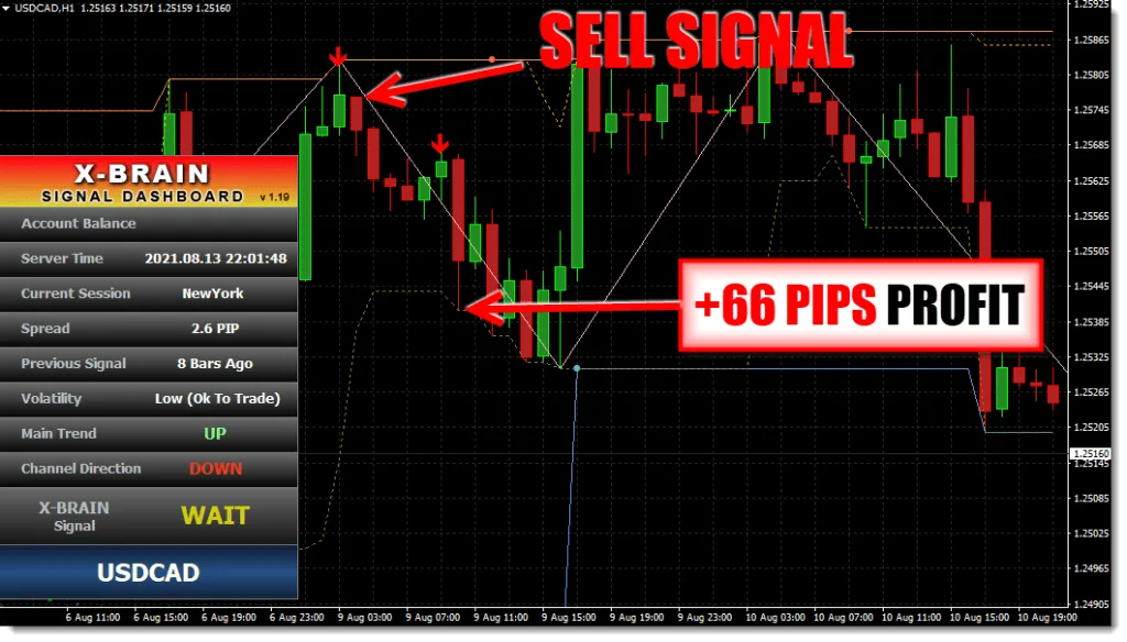 X Brain Method Forex Indicator System FREE Download usdcadd1 ForexCracked.com