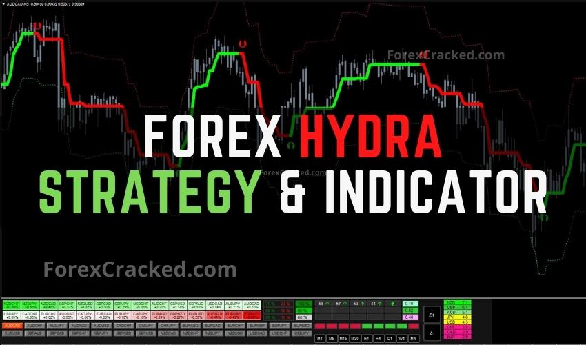 Forex Hydra Strategy & Indicator FREE Download ForexCracked.com
