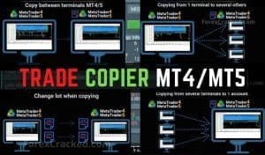 Forex Trade Copier