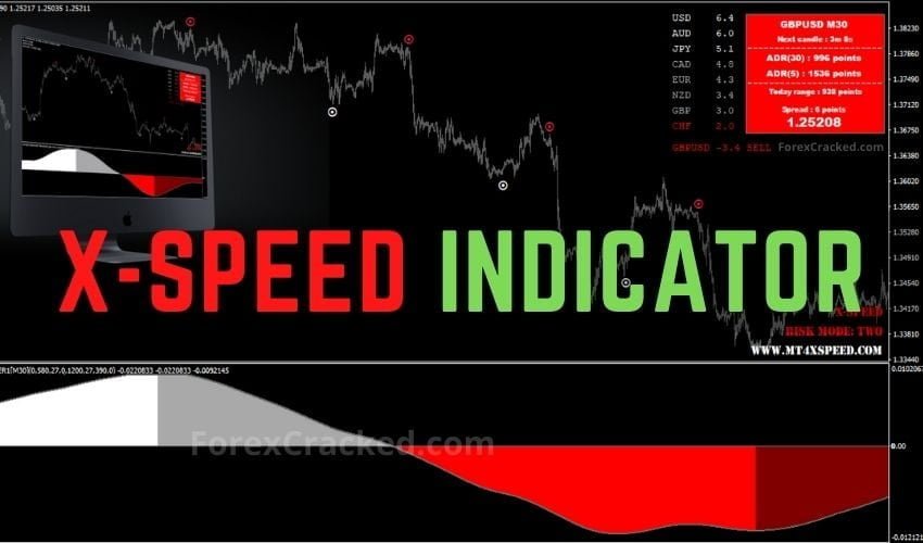 MT4 X SPEED Forex Indicator FREE Download ForexCracked.com