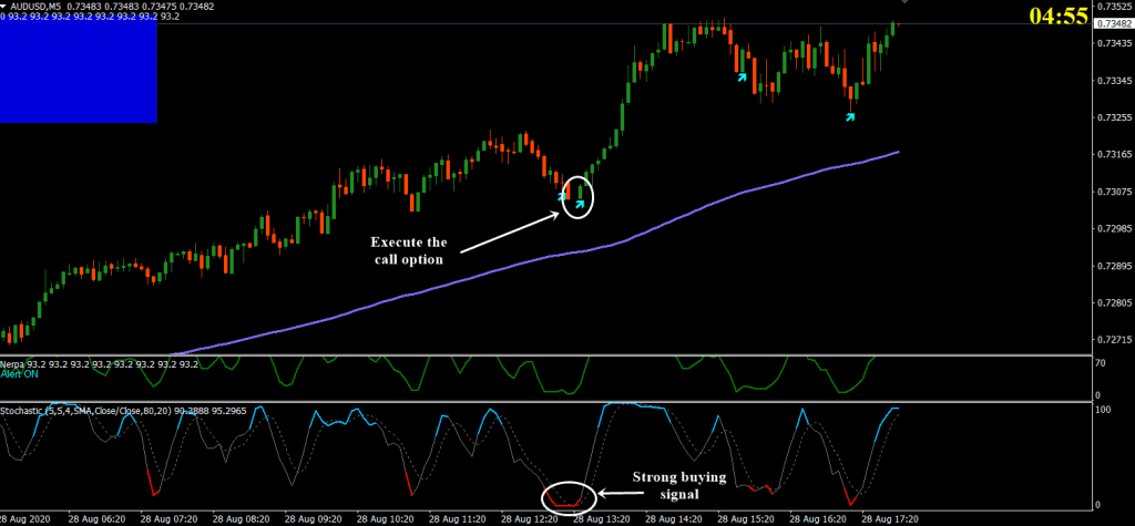 Nerpa Indicator day trading buy FREE Download ForexCracked.com