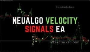 NeuAlgo Velocity Signals MT4 EA