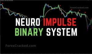Neuro Impulse Forex Binary System