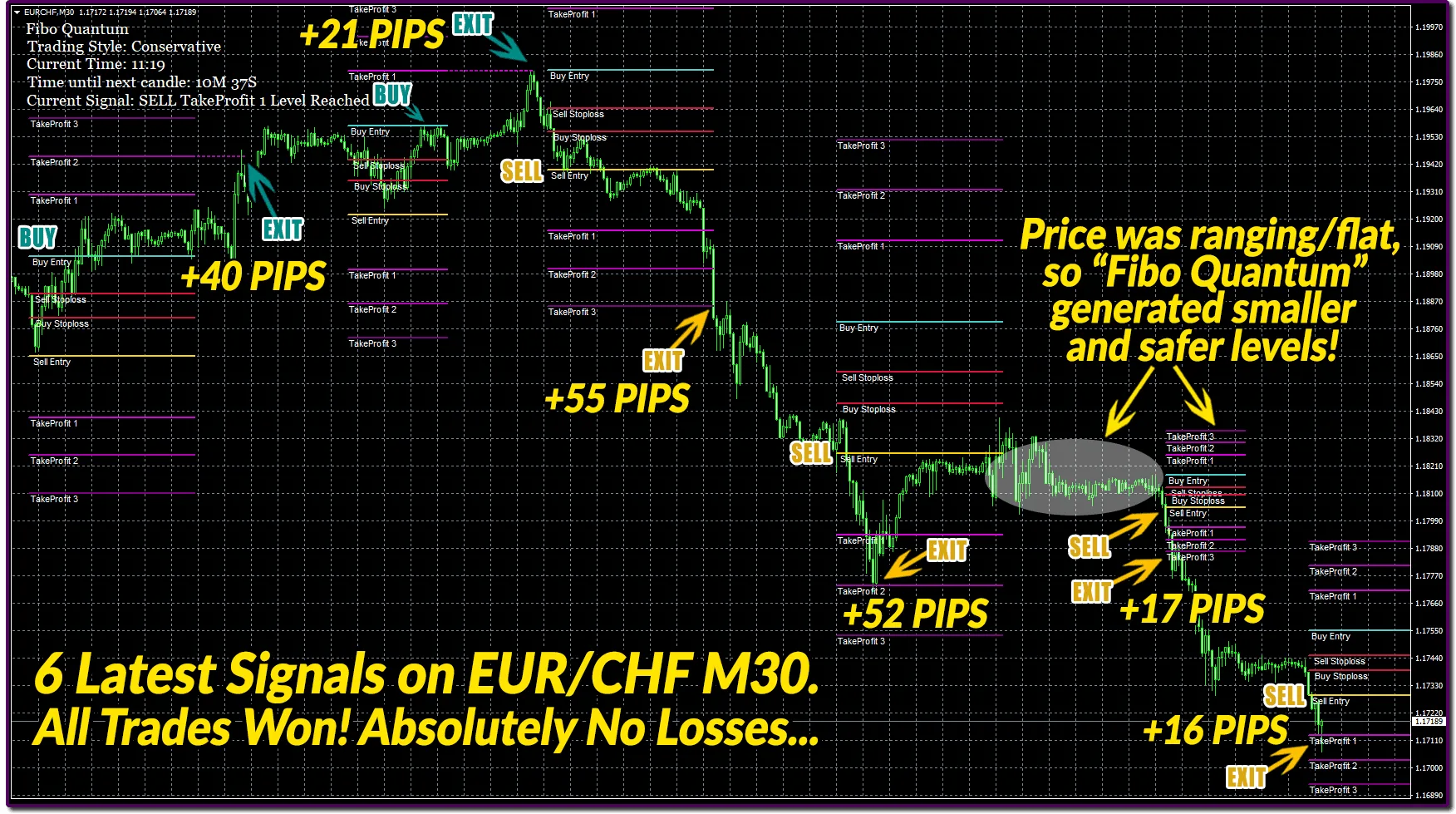Fibo Quantum Adapts to Different Market Conditions. ForexCracked.com