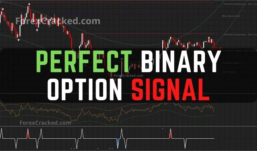 Perfect Binary Signal Indicator FREE Download