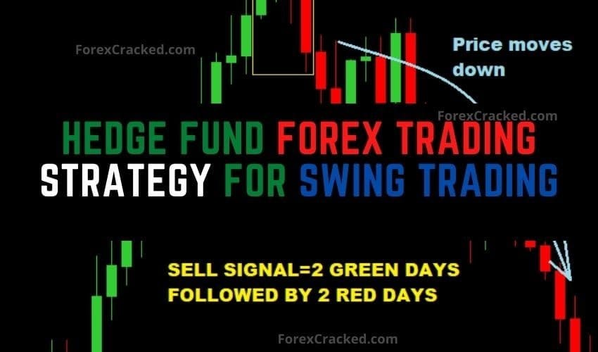 forexcracked.com Hedge Fund Forex Trading Strategy For Swing Trading