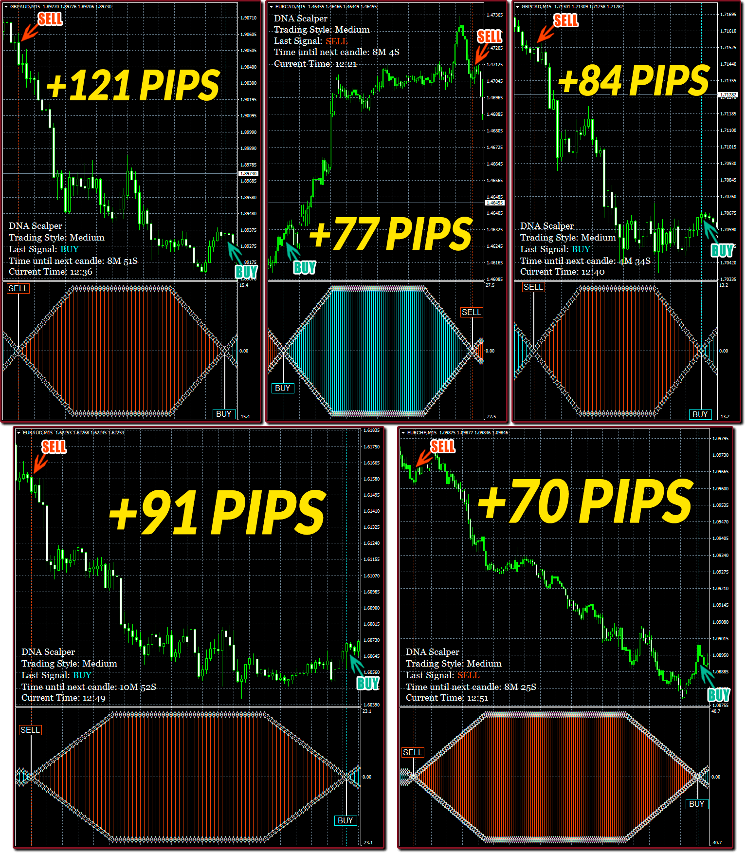 DNA Scalper is Super Accurate and Profitable on M15 +443 Pips Total Profit!