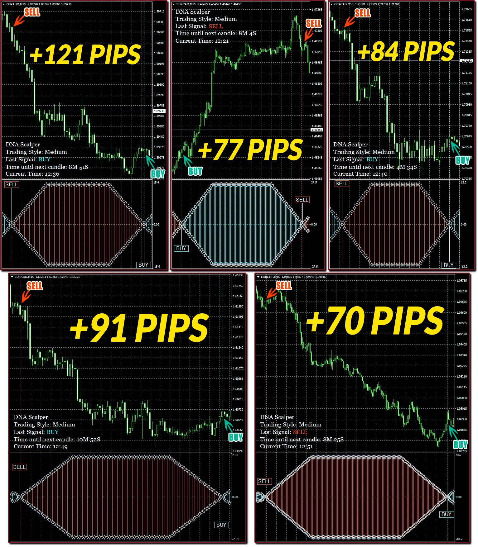 DNA Scalper is Super Accurate and Profitable on M15 +443 Pips Total Profit!