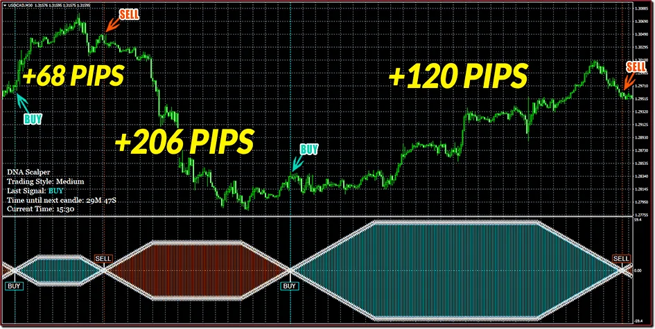 USDCAD, 3 trades resulting in 68, 206 and 120 pips ForexCracked.com