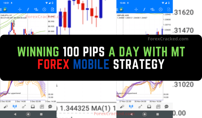 Winning 100 pips a day with MT Forex Mobile Strategy - ForexCracked