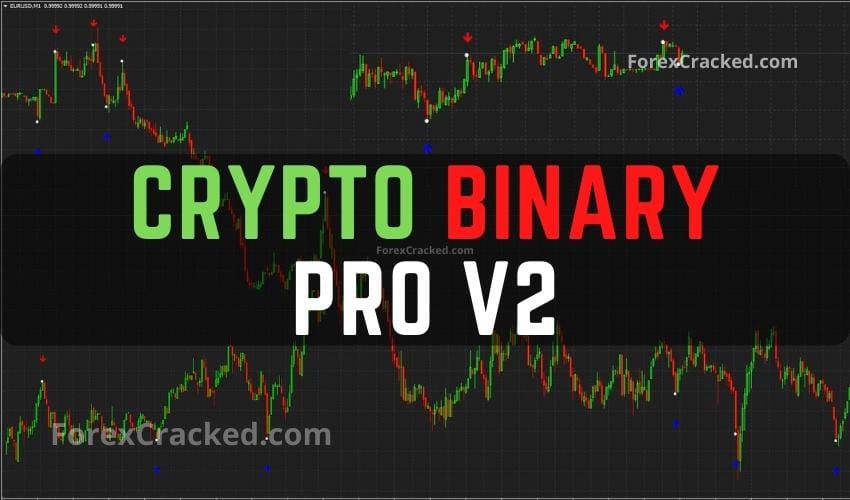 crypto binary