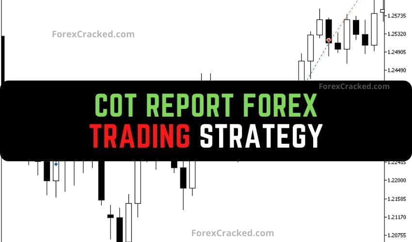 Forexcracked.com CoT Report Forex Trading Strategy