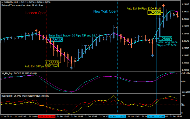 30 Pips a Day Forex Trading Systems FREE Download - ForexCracked