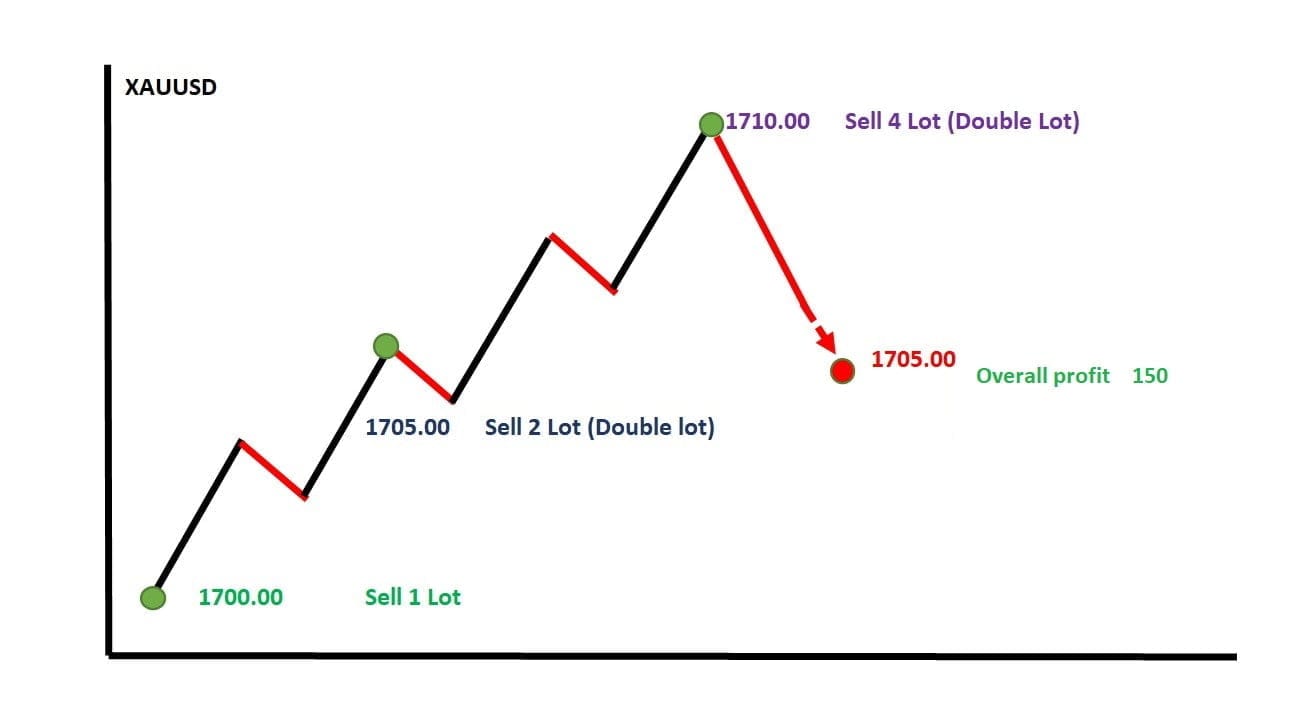 Maximize Your Profits With the Forex Martingale Method ForexCracked