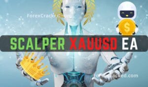 Scalper XAUUSD EA