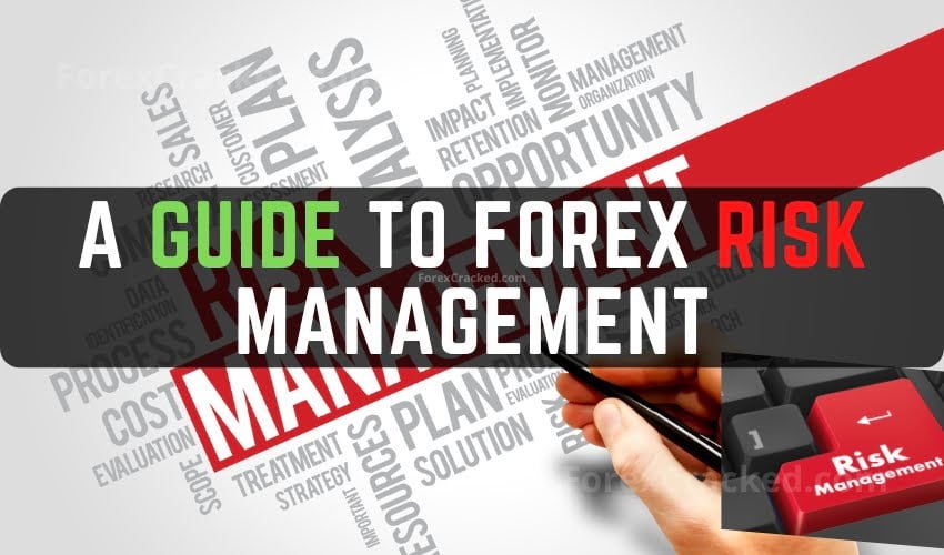 Forex Trading 101 A Guide to Forex Risk Management ForexCracked.com