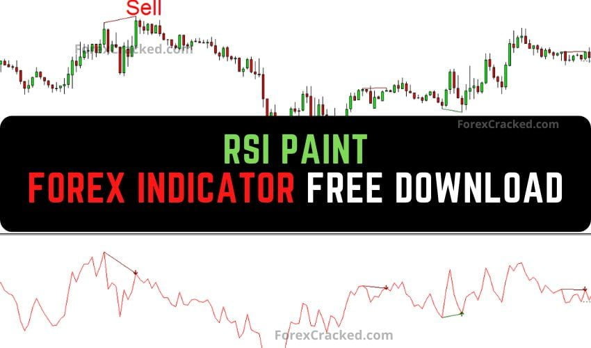 Forexcracked.com RSI Paint forex Indicator Free Download