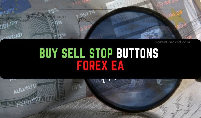 forexcracked.com Buy Sell Stop Buttons Forex EA Robot Free Download