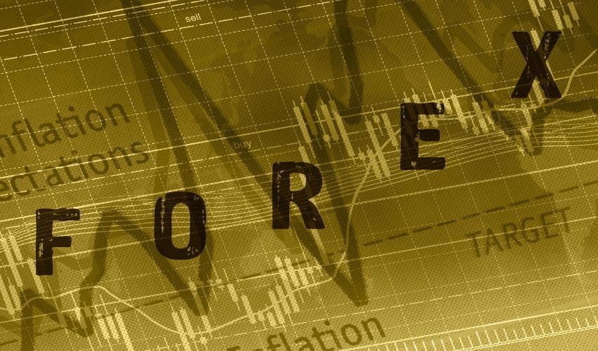 forexcracked.com Basic Forex Terminology