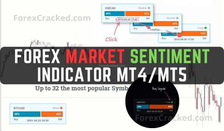 Forex Sentiment Indicator MT4MT5 FREE Download FREE Download ForexCracked.com