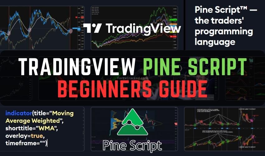TradingView Pine Script The All-in-One Guide for Beginners ForexCracked.com