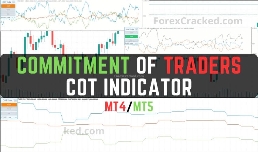Commitment of Traders - COT Indicator MT4MT5 FREE Download ForexCracked.com
