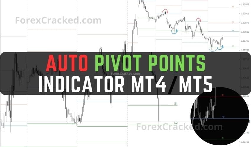 Auto Pivot Points Indicator MT4MT5 FREE Download ForexCracked.com