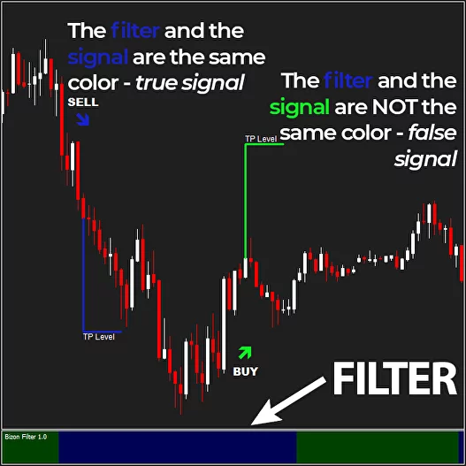 Bizon Scalper filter