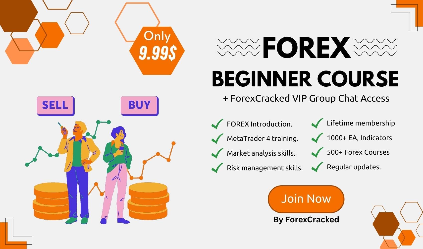 Forex Trading Course for Beginners + Exclusive VIP Group Chat Access