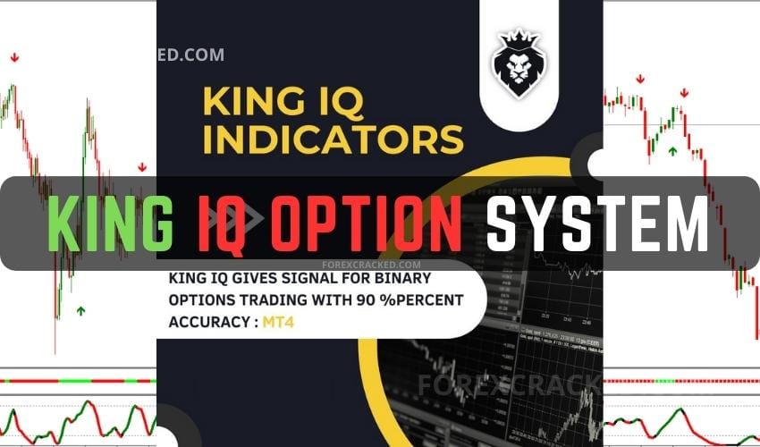 King IQ Option Indicator System FREE Download ForexCracked.com