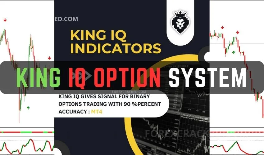 King IQ Option Indicator System FREE Download