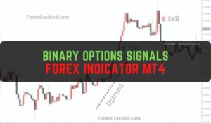 Binary Options Signals Indicator