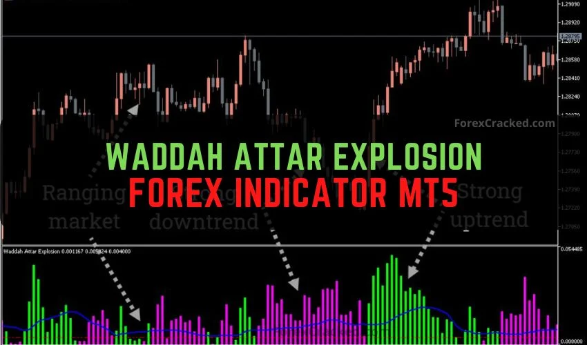 Forexcracked.com Waddah Attar Explosion Forex Indicator MT5 Free Download