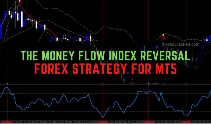 Mastering Forex Trading with the Money Flow Index Reversal Strategy MT5