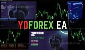 YoForex EA