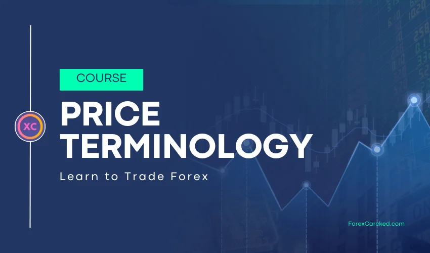 Basics of Forex Trading