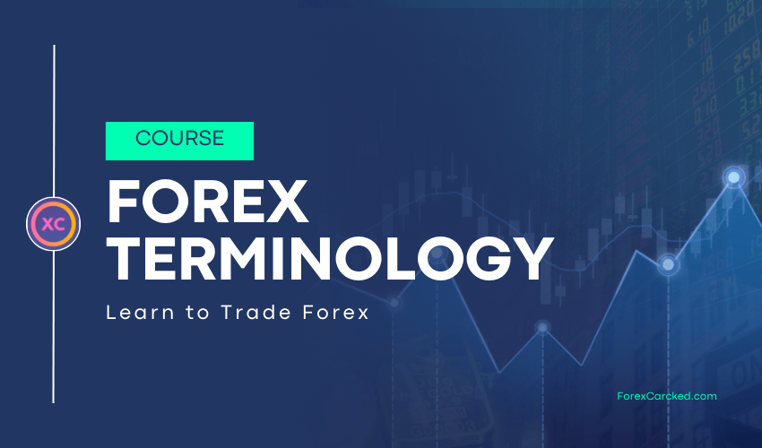 forex terminology for beginners forexcracked.com