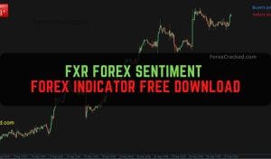 FXR Forex Sentiment Indicator