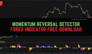 Momentum Reversal Detector Indicator