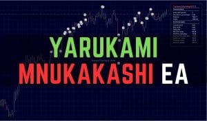 Yarukami Mnukakashi EA