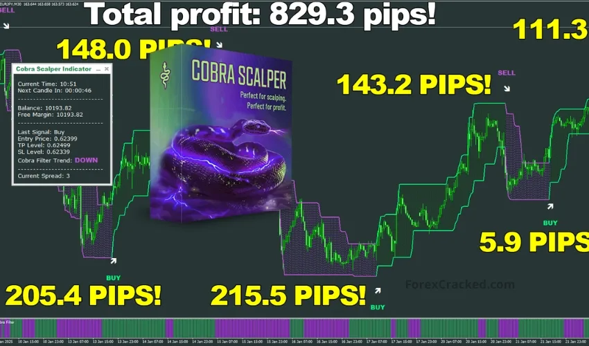 Cobra Scalper – Best Trading Indicator of 2025